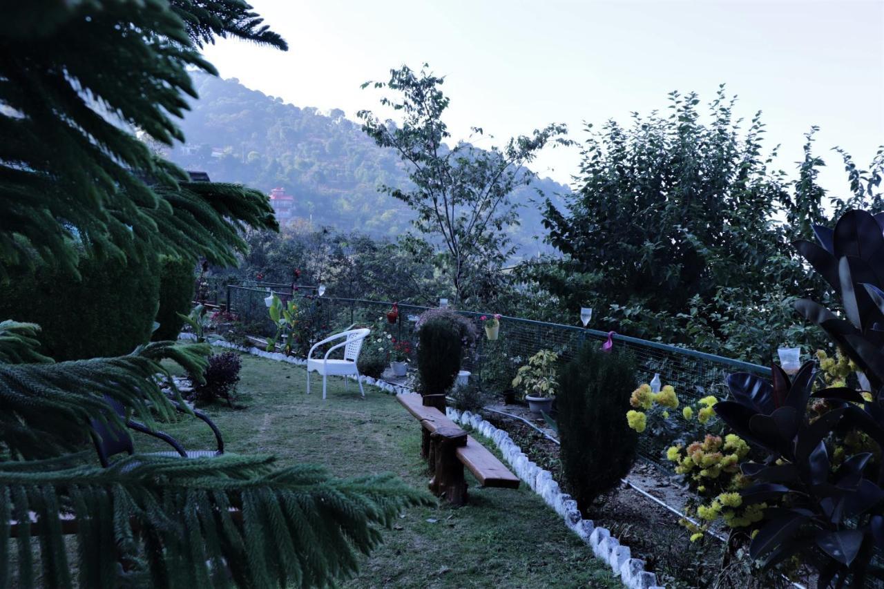 Bed and breakfast Wildleaf Kasauli Valley Homz Extérieur photo
