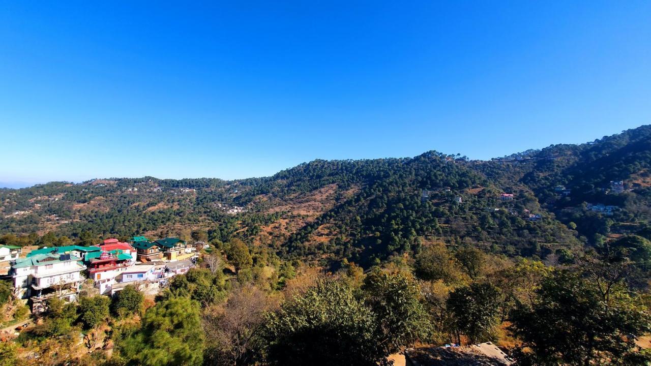 Bed and breakfast Wildleaf Kasauli Valley Homz Extérieur photo